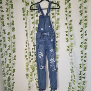 American Eagle Distressed Jegging Overalls